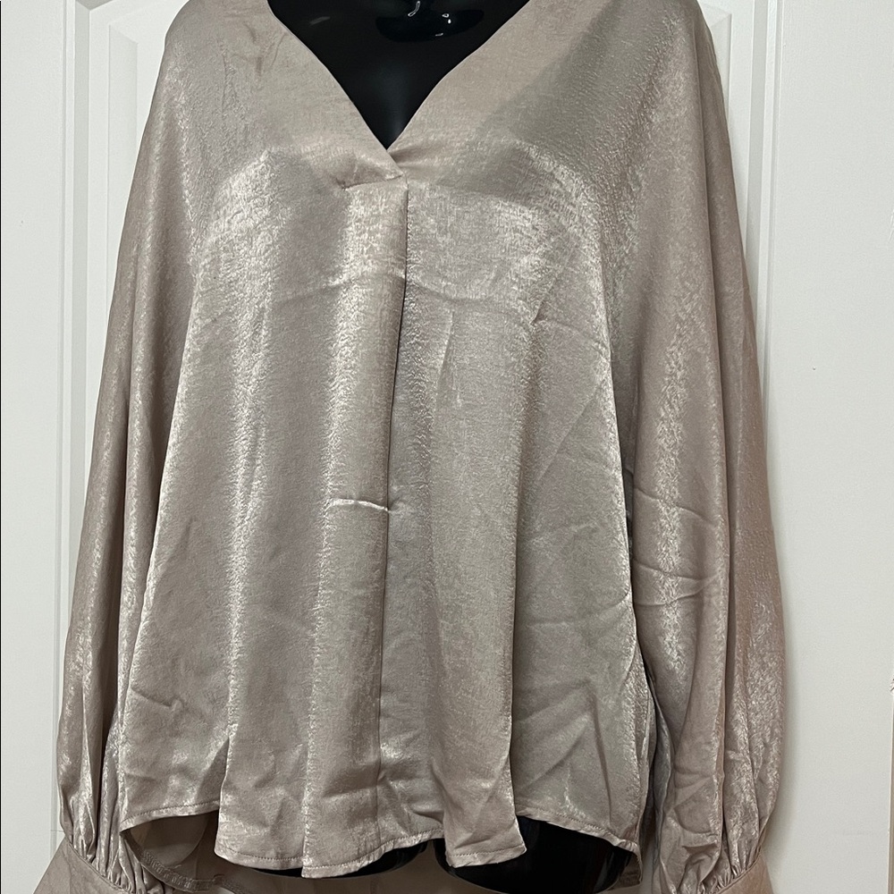 Glam Shimmering Beige Top